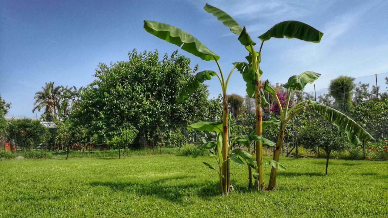 וילאפרנקה טירנה B&B Tifeo מראה חיצוני תמונה
